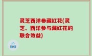 灵芝西洋参藏红花(灵芝、西洋参与藏红花的联合效益)