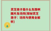 灵芝孢子是什么东西啊图片及功效(探秘灵芝孢子：功效与使用全解析)
