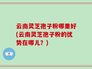 云南灵芝孢子粉哪里好(云南灵芝孢子粉的优势在哪儿？)
