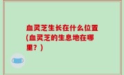 血灵芝生长在什么位置(血灵芝的生息地在哪里？)