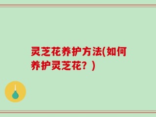 灵芝花养护方法(如何养护灵芝花？)