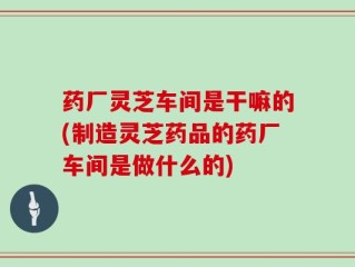 药厂灵芝车间是干嘛的(制造灵芝药品的药厂车间是做什么的)