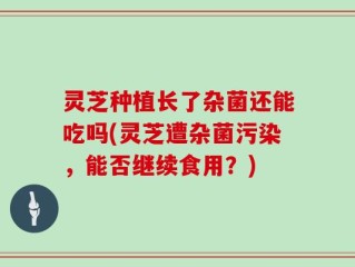 灵芝种植长了杂菌还能吃吗(灵芝遭杂菌污染，能否继续食用？)