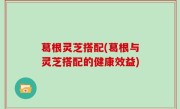 葛根灵芝搭配(葛根与灵芝搭配的健康效益)