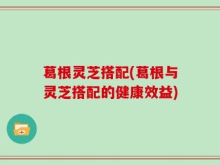 葛根灵芝搭配(葛根与灵芝搭配的健康效益)