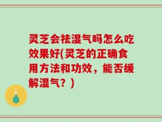 灵芝会祛湿气吗怎么吃效果好(灵芝的正确食用方法和功效，能否缓解湿气？)