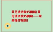 灵芝清洗技巧图解(灵芝清洗技巧图解——完美操作指南)