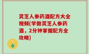 灵芝人参药酒配方大全视频(学做灵芝人参药酒，2分钟掌握配方全攻略)