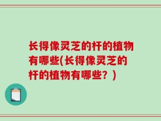 长得像灵芝的杆的植物有哪些(长得像灵芝的杆的植物有哪些？)