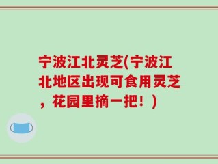 宁波江北灵芝(宁波江北地区出现可食用灵芝，花园里摘一把！)