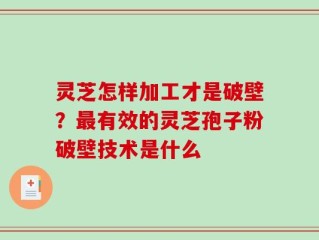 灵芝怎样加工才是破壁？最有效的灵芝孢子粉破壁技术是什么