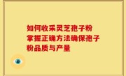 如何收采灵芝孢子粉 掌握正确方法确保孢子粉品质与产量