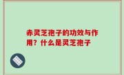 赤灵芝孢子的功效与作用？什么是灵芝孢子