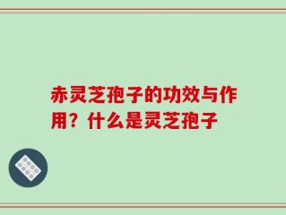赤灵芝孢子的功效与作用？什么是灵芝孢子
