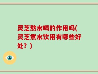 灵芝熬水喝的作用吗(灵芝煮水饮用有哪些好处？)