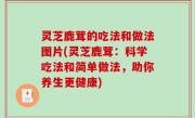 灵芝鹿茸的吃法和做法图片(灵芝鹿茸：科学吃法和简单做法，助你养生更健康)