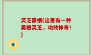 灵芝黑根(这里有一种黑根灵芝，功效神奇！)