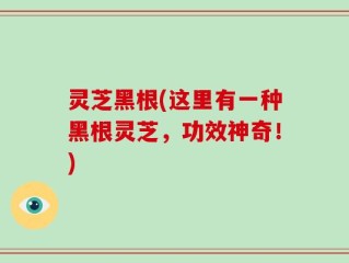 灵芝黑根(这里有一种黑根灵芝，功效神奇！)