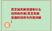 灵芝加天麻泡酒有什么功效和作用(灵芝天麻泡酒的功效与作用详解)