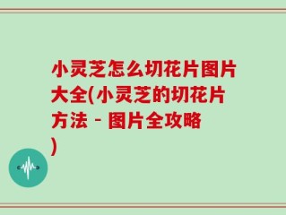 小灵芝怎么切花片图片大全(小灵芝的切花片方法 - 图片全攻略)