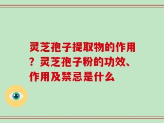 灵芝孢子提取物的作用？灵芝孢子粉的功效、作用及禁忌是什么