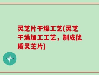 灵芝片干燥工艺(灵芝干燥加工工艺，制成优质灵芝片)