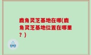 鹿角灵芝基地在哪(鹿角灵芝基地位置在哪里？)