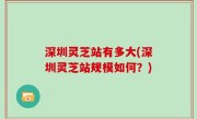 深圳灵芝站有多大(深圳灵芝站规模如何？)