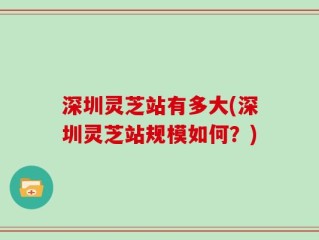 深圳灵芝站有多大(深圳灵芝站规模如何？)