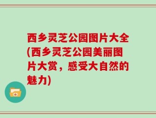 西乡灵芝公园图片大全(西乡灵芝公园美丽图片大赏，感受大自然的魅力)