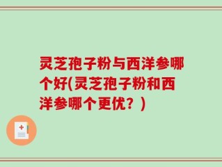 灵芝孢子粉与西洋参哪个好(灵芝孢子粉和西洋参哪个更优？)