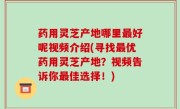 药用灵芝产地哪里最好呢视频介绍(寻找最优药用灵芝产地？视频告诉你最佳选择！)