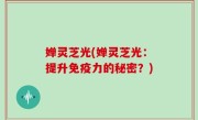 婵灵芝光(婵灵芝光：提升免疫力的秘密？)