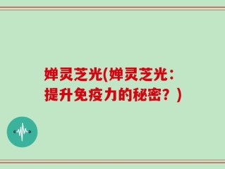 婵灵芝光(婵灵芝光：提升免疫力的秘密？)