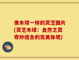 像木球一样的灵芝图片(灵芝木球：自然之灵奇妙结合的完美体现)