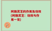 阿魏灵芝的作用及功效(阿魏灵芝：功效与作用一览)