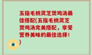 五指毛桃灵芝煲鸡汤最佳搭配(五指毛桃灵芝煲鸡汤完美搭配，享受营养美味的最佳选择！)