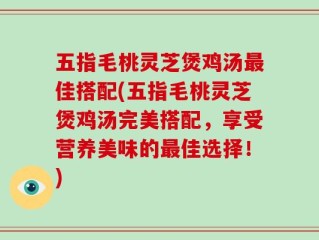 五指毛桃灵芝煲鸡汤最佳搭配(五指毛桃灵芝煲鸡汤完美搭配，享受营养美味的最佳选择！)