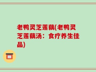 老鸭灵芝莲藕(老鸭灵芝莲藕汤：食疗养生佳品)