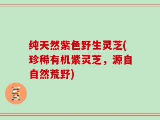 纯天然紫色野生灵芝(珍稀有机紫灵芝，源自自然荒野)