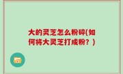 大的灵芝怎么粉碎(如何将大灵芝打成粉？)