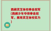 西藏灵芝体校拳击冠军(西藏少年夺得拳击冠军，展现灵芝体校实力)