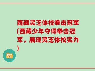 西藏灵芝体校拳击冠军(西藏少年夺得拳击冠军，展现灵芝体校实力)