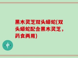 黑木灵芝双头蟒蛇(双头蟒蛇配合黑木灵芝，药食两用)