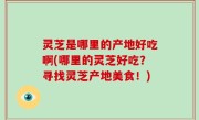 灵芝是哪里的产地好吃啊(哪里的灵芝好吃？寻找灵芝产地美食！)