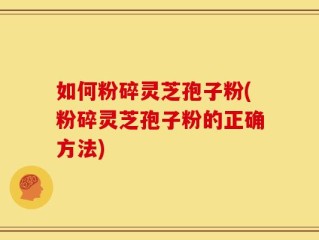 如何粉碎灵芝孢子粉(粉碎灵芝孢子粉的正确方法)