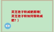 灵芝孢子粉减肥原理(灵芝孢子粉如何帮助减肥？)