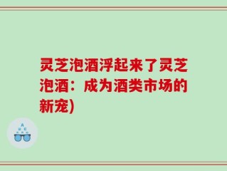 灵芝泡酒浮起来了灵芝泡酒：成为酒类市场的新宠)