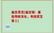 庙岔灵芝(庙岔镇：重拾传统文化，寻找灵芝奇蹟)
