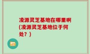 凌源灵芝基地在哪里啊(凌源灵芝基地位于何处？)